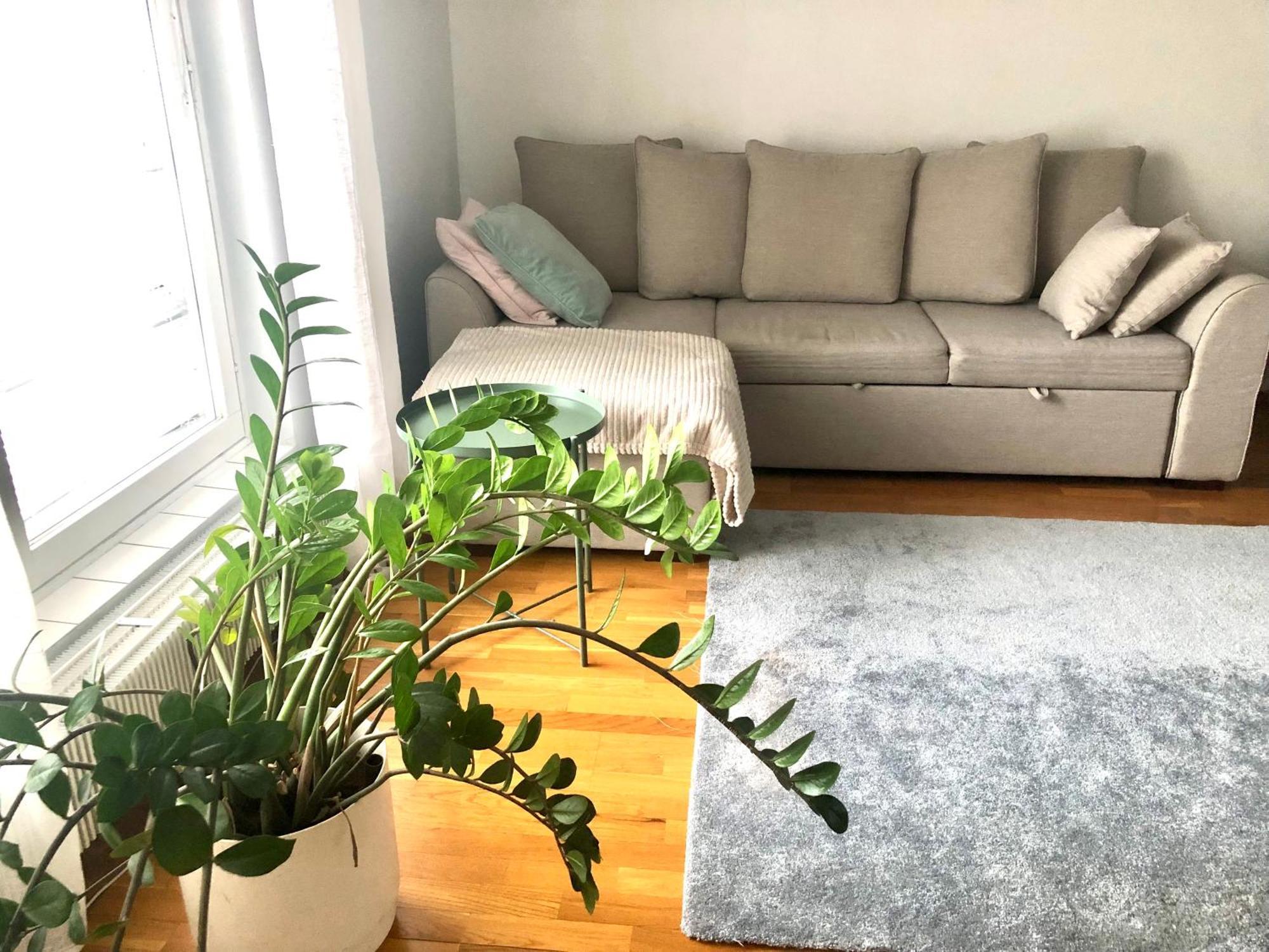 Apartment Scandinavian Design Heart Center Runeberginkatu *