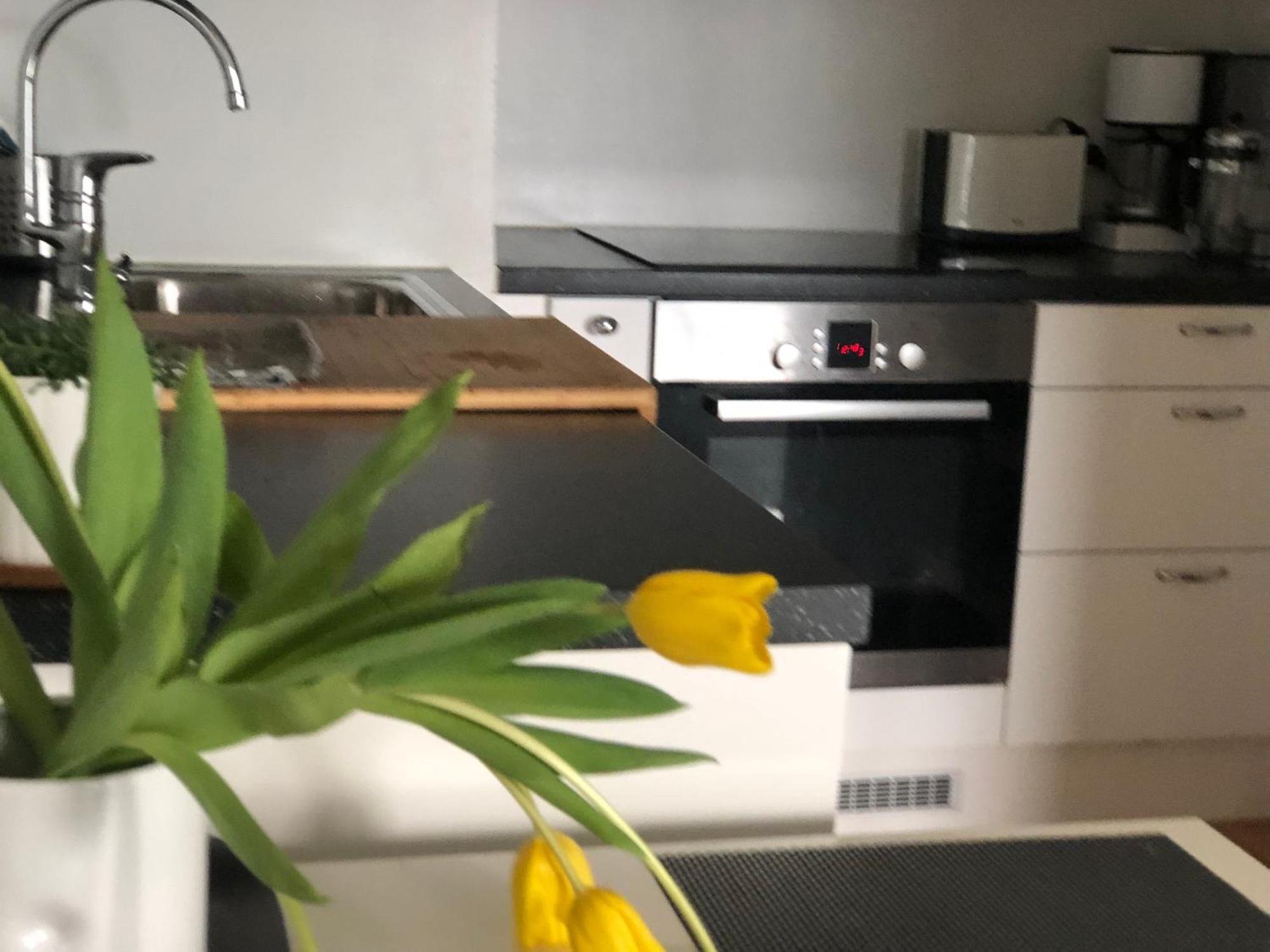Apartment Scandinavian Design Heart Center Runeberginkatu